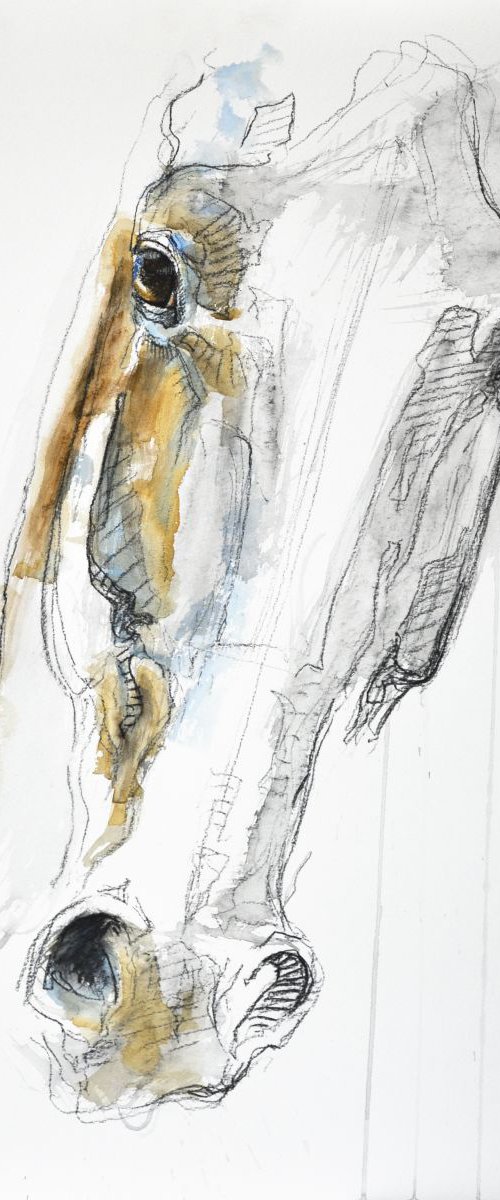Equin Nude 42t (In Gallery, NY USA) by Benedicte Gele