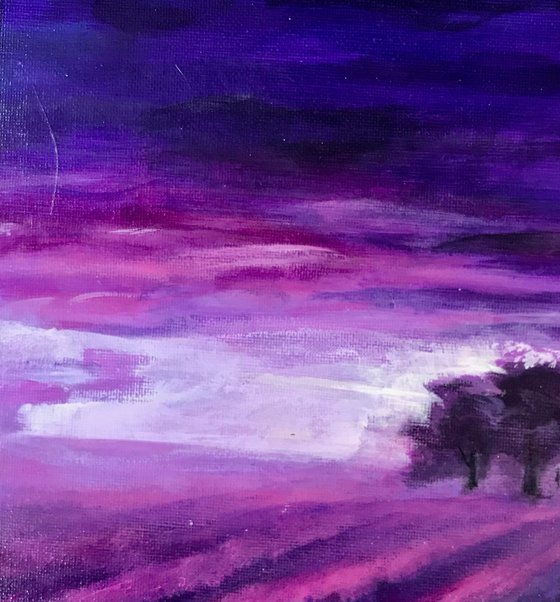 Lavender Sunset landscape