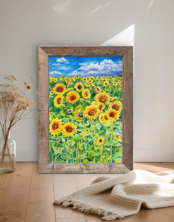 Sunflower field under a summer sky