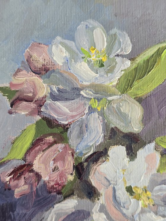 "Apple blossom"