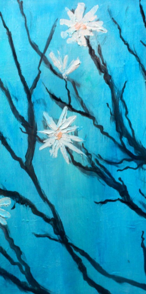 Magnolia stellata by Paul J Best