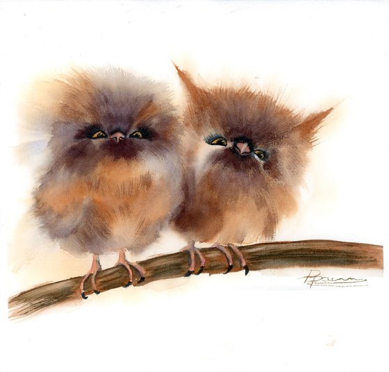 Two babies owl on the branch