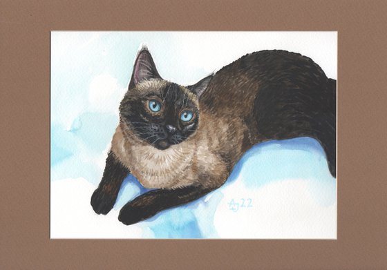 Siamese cat