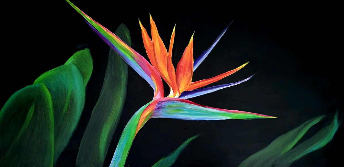 Bird of Paradise Colorful Oil Painting by Nersel Muehlen