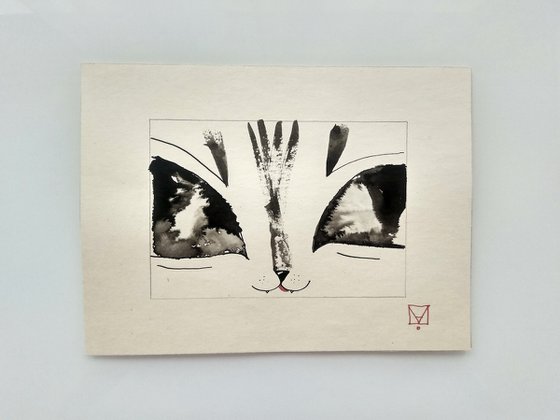 "CAT 3"