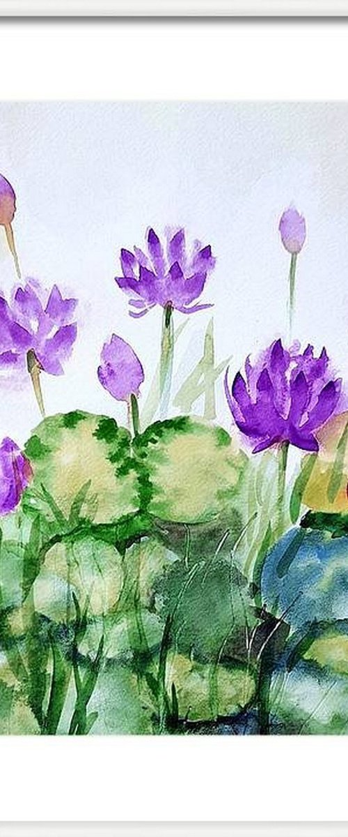 Purple water lilies 6 by Asha Shenoy