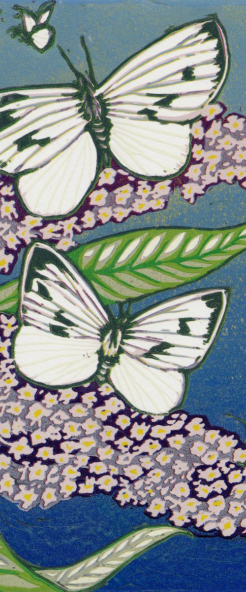 Large Whites by Marian Carter