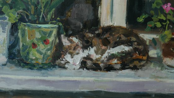 Cat Marquis Fell Asleep - original oil painting