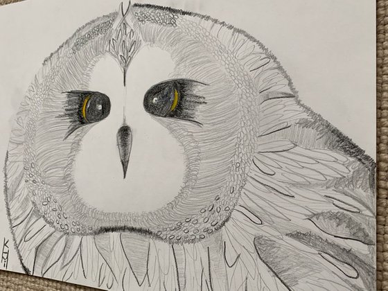 Owl Big Face / Bird Art / Animals & Birds / Animal Portrait / Owl Art / Bird Art / Black and White / Original Artwork / Gifts For Her / Home Decor Wall Art 11.7"x16.5"
