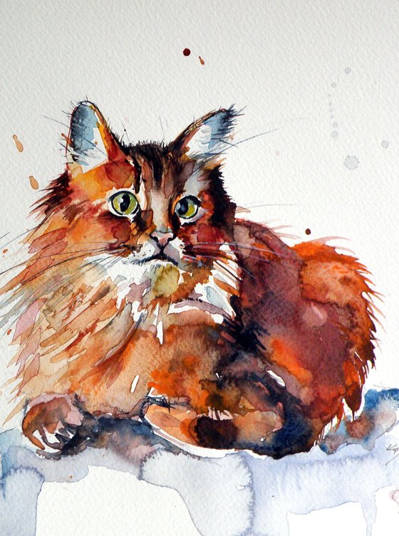 Cat resting II