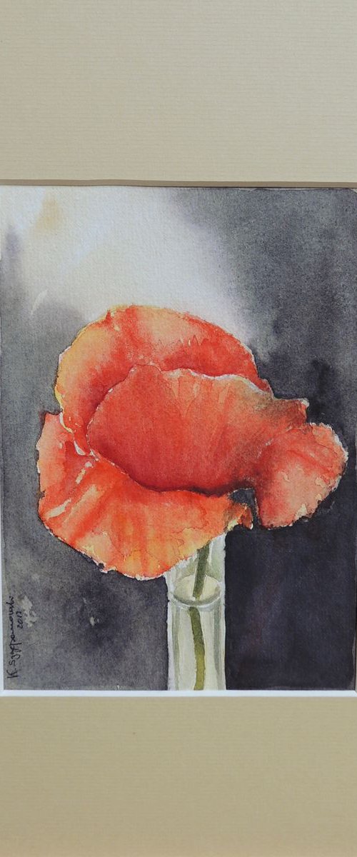 Dainty poppy by Krystyna Szczepanowski