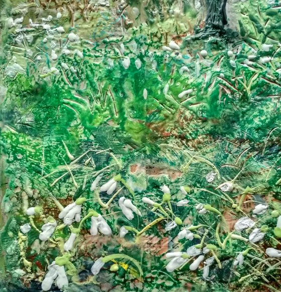 Snowdrops