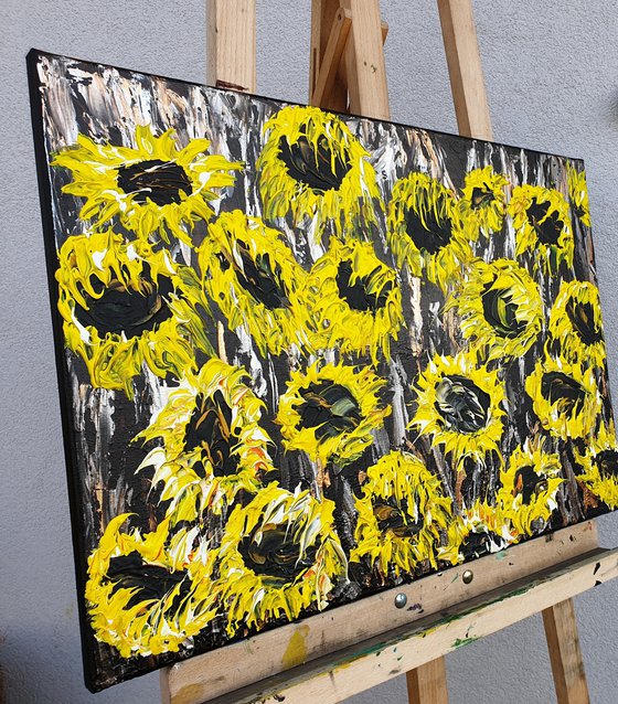 Sunflower field