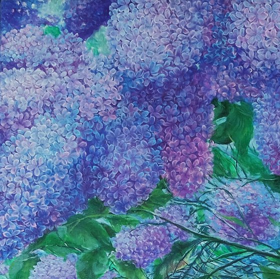 Sea of Lilacs