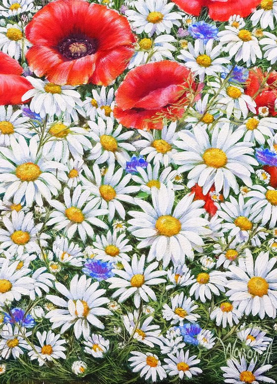 Poppies and Daisies