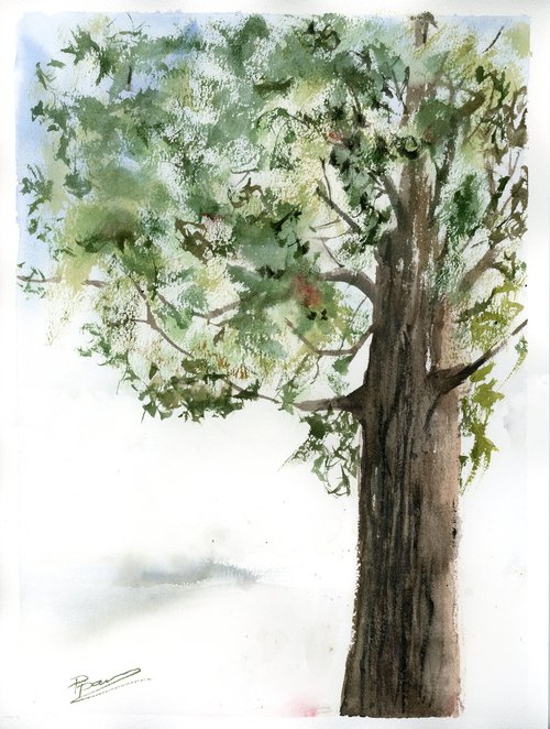 Tree 1 (1 of 2) by Olga Shefranov (Tchefranov)