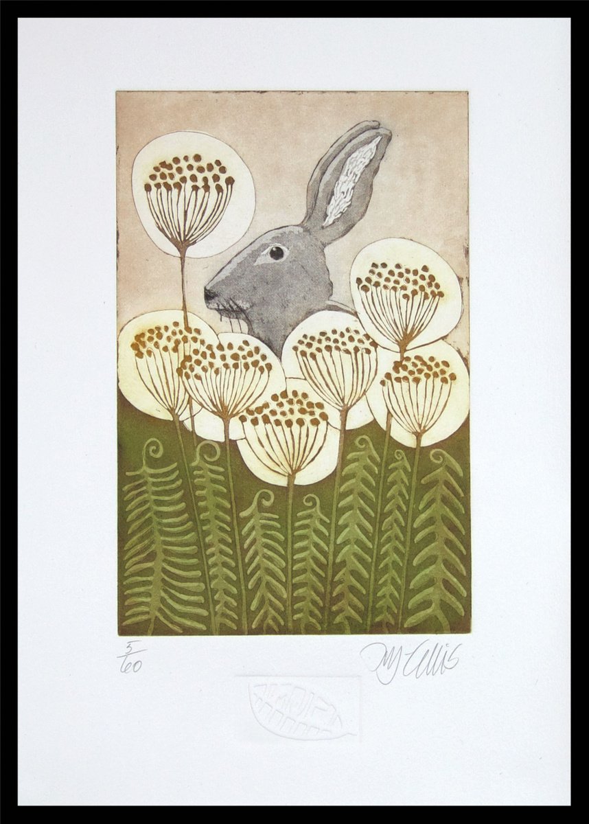 Ferns and Hare, aquatint etching by Mariann Johansen-Ellis