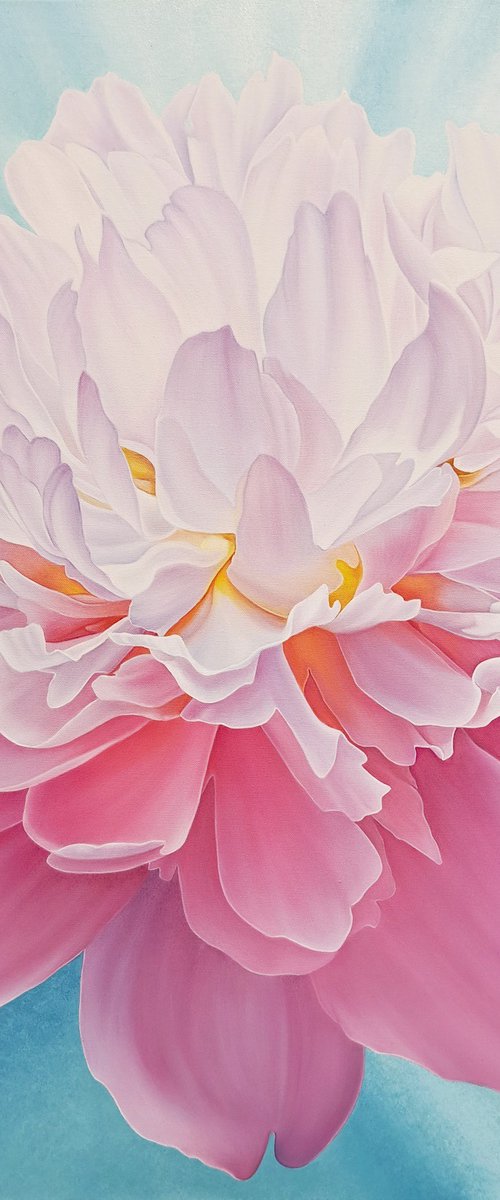 Peony glow by Anna Steshenko