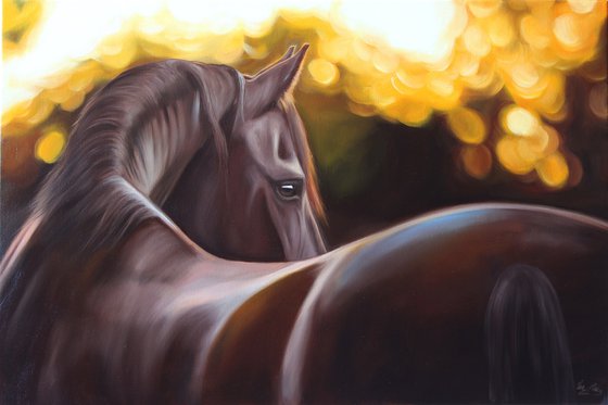 Autumn horse romance