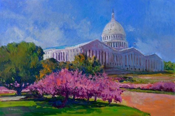 Spring in Washington DC