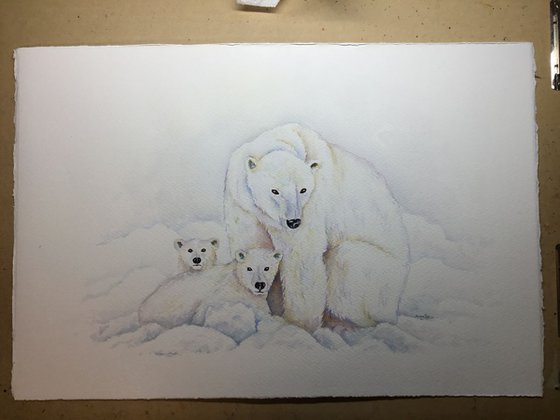 Polar Bear family