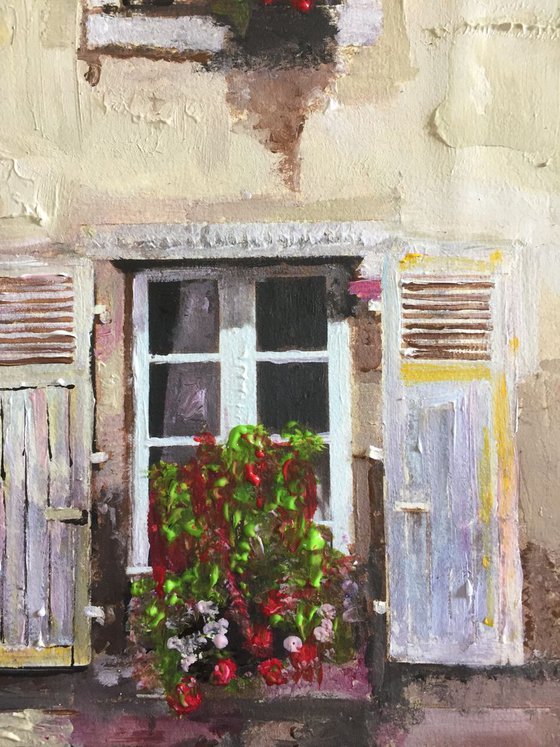 Shutters and Flowers