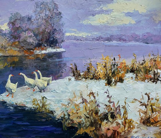 Geese On A Pond In Winter