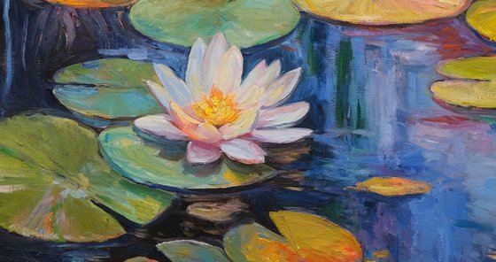 Water Lily Pond Reflections