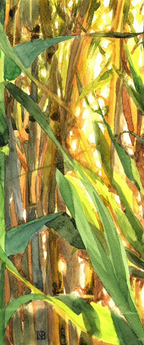 BAMBOO by Nives Palmić