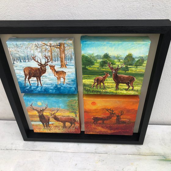 Richmond Park four seasons