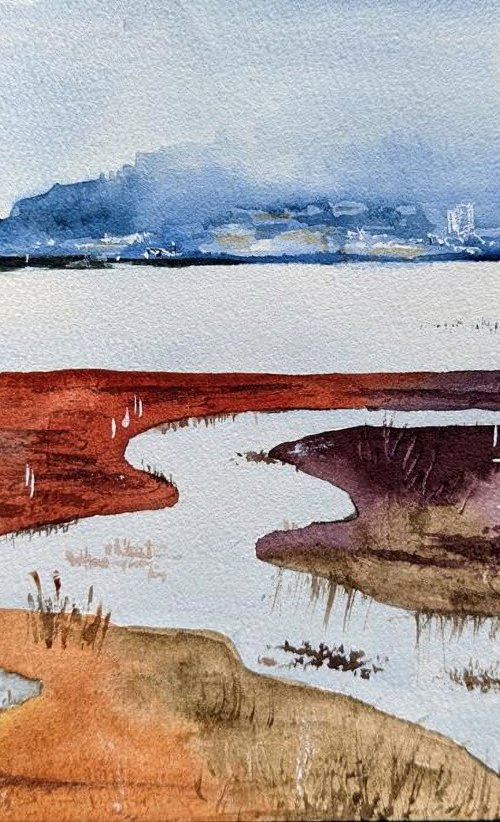 Coyote Point by Marina Omelianenko