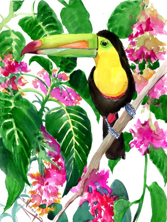 Toucan in the jungle