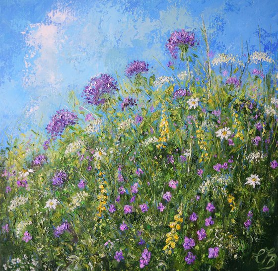 Meadow in Summer