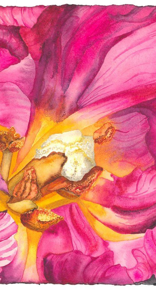 Flying Fiddles by Mary Lyn Gough
