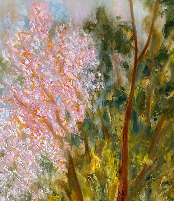 Wild Cherry Blossoms