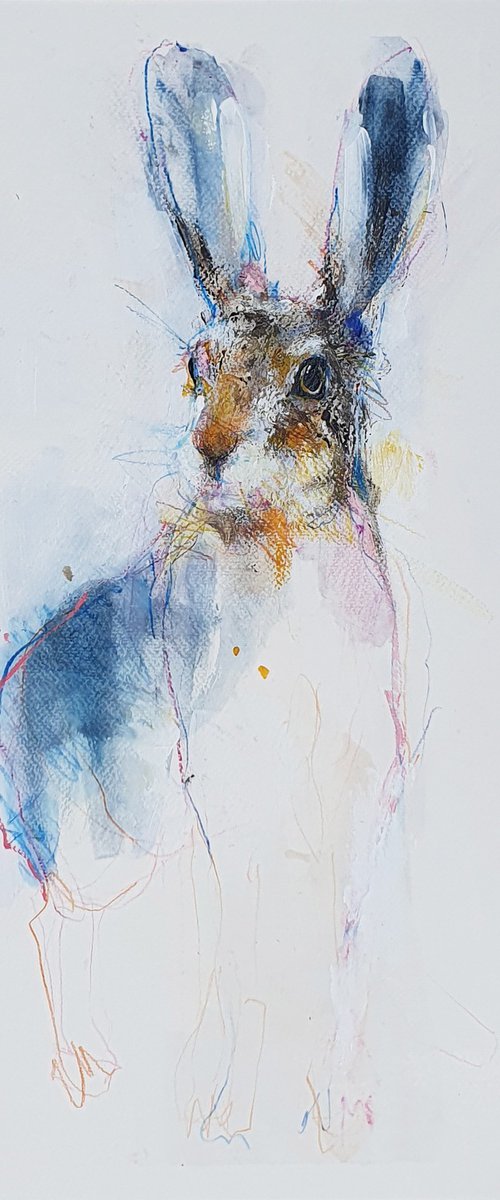 Lièvre bleu by Laurent Bergues