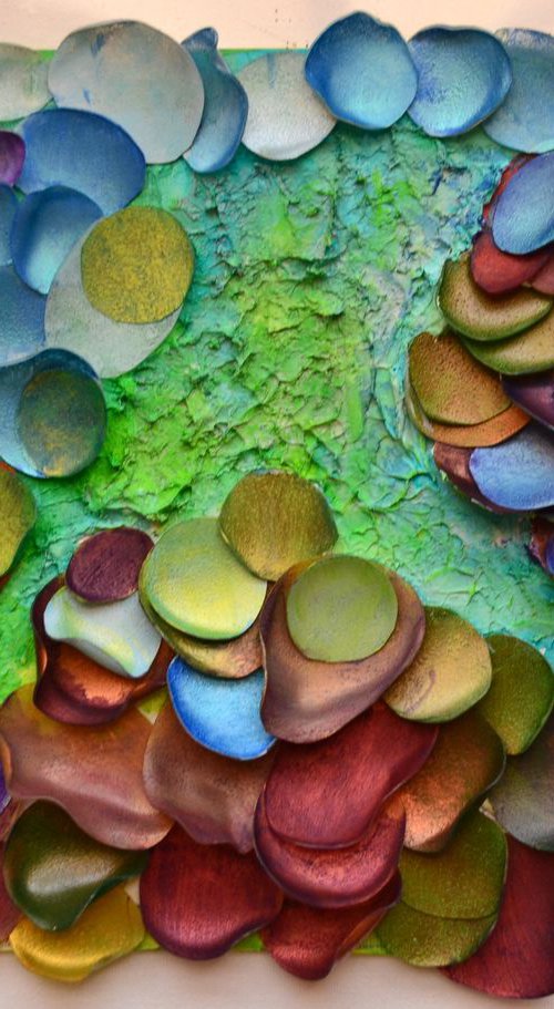 Macro view corals by Swapna Namboodiri
