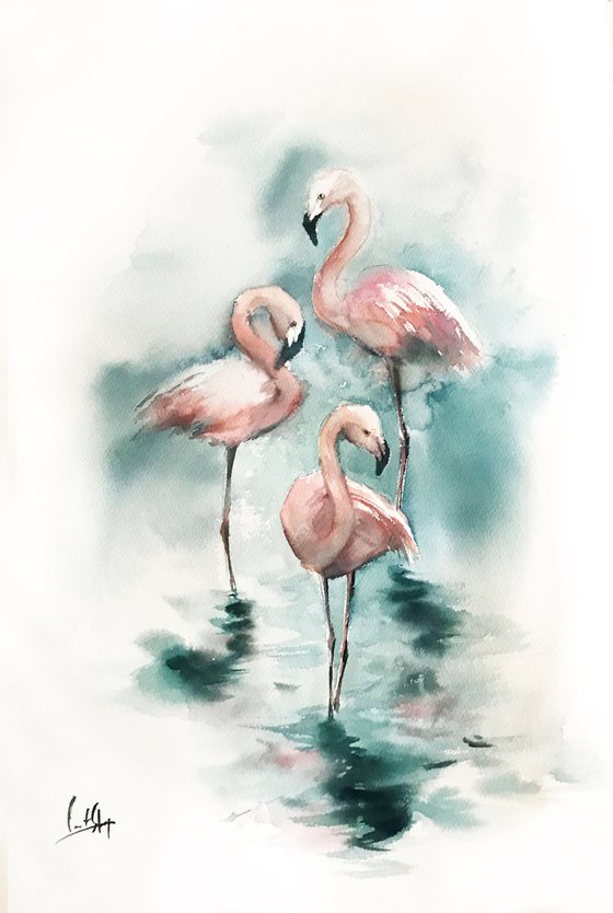 Flamingos