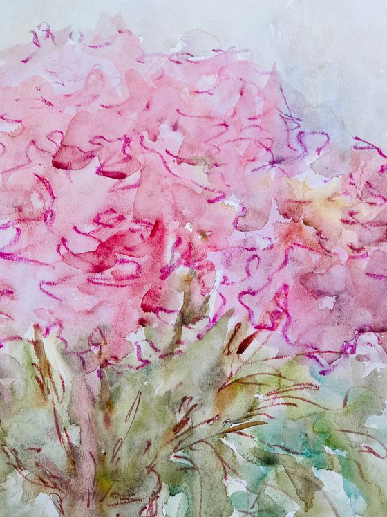 Big pink peonies 19,6x25,6 in