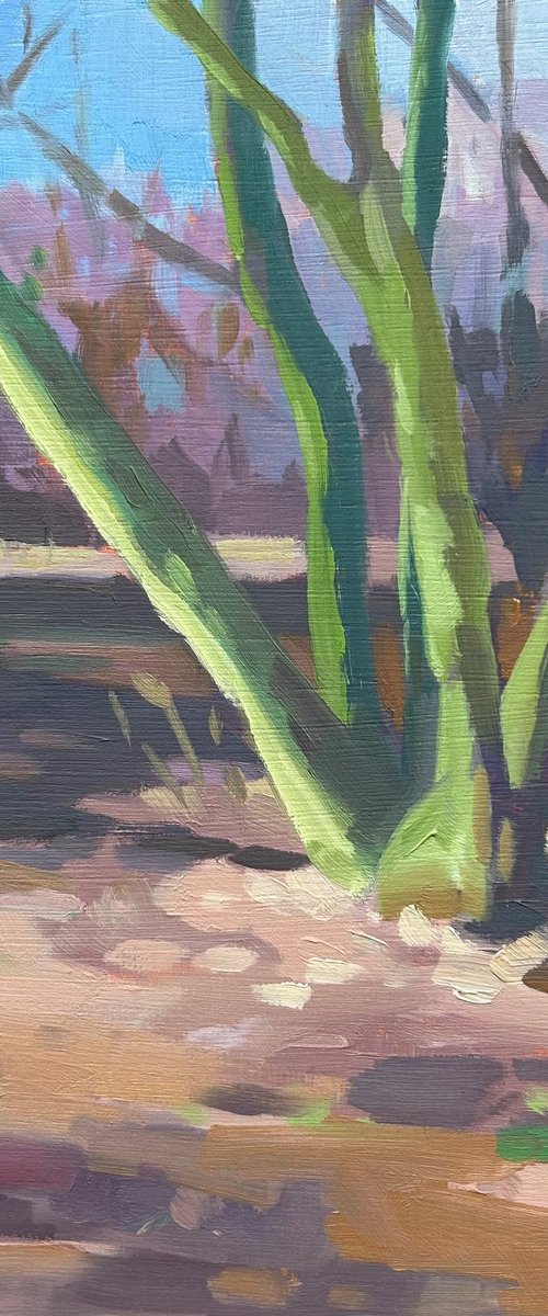 Park Light by Dawn Harries