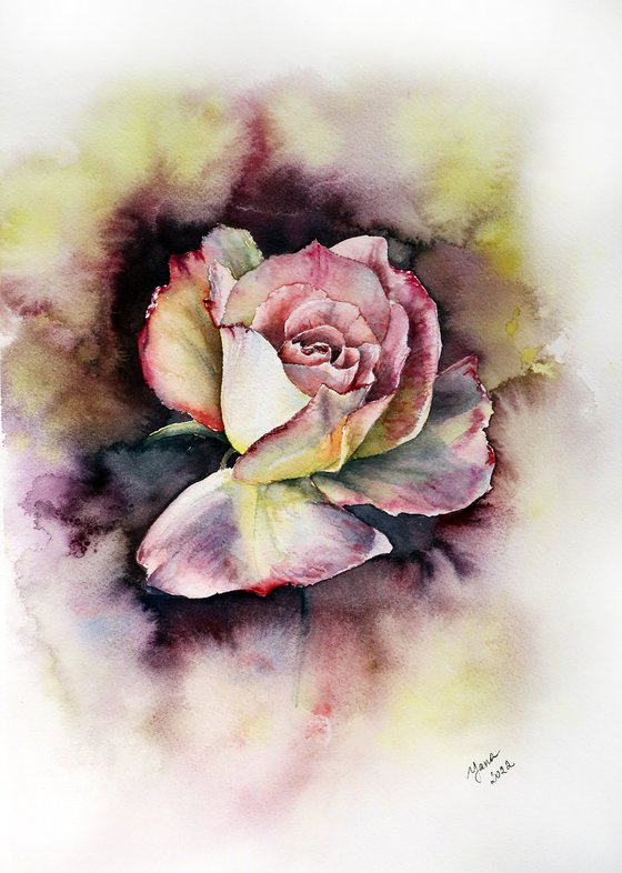 Dramatic Rose in Watercolor - ORIGINAL Painting Ready to Ship