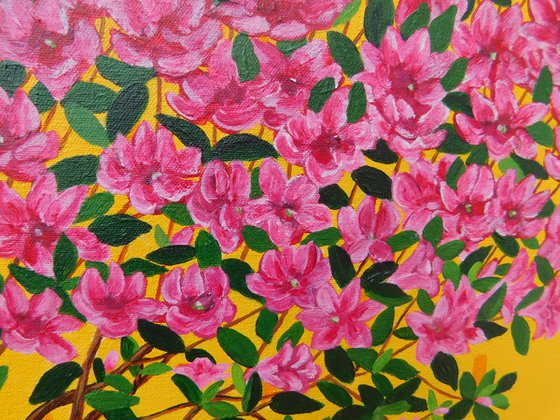 Still life with Azalea