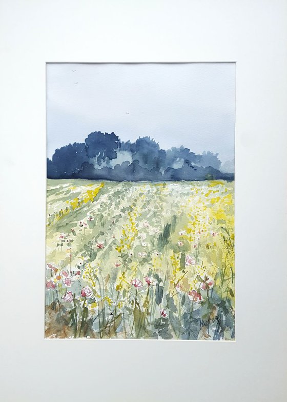 Field with pink and yellow Flowers