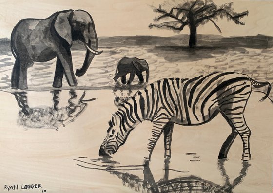 Zebra and Elephants at Waterhole