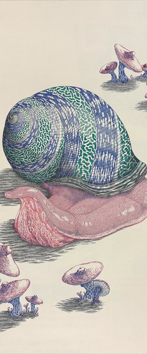 Gastropoda eroticum by Rudra Kishore Mandal
