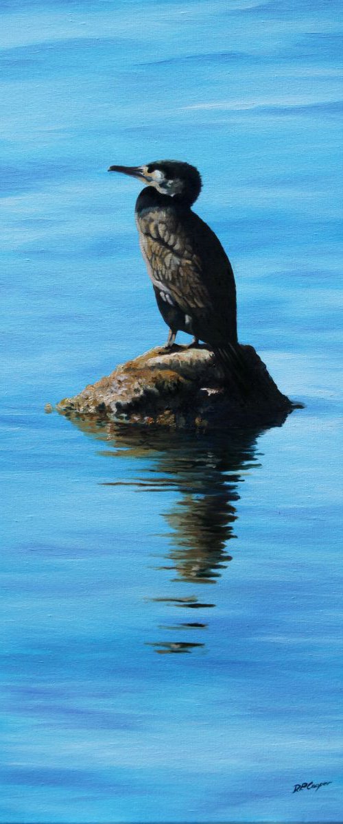 Cormorant reflections by D. P. Cooper