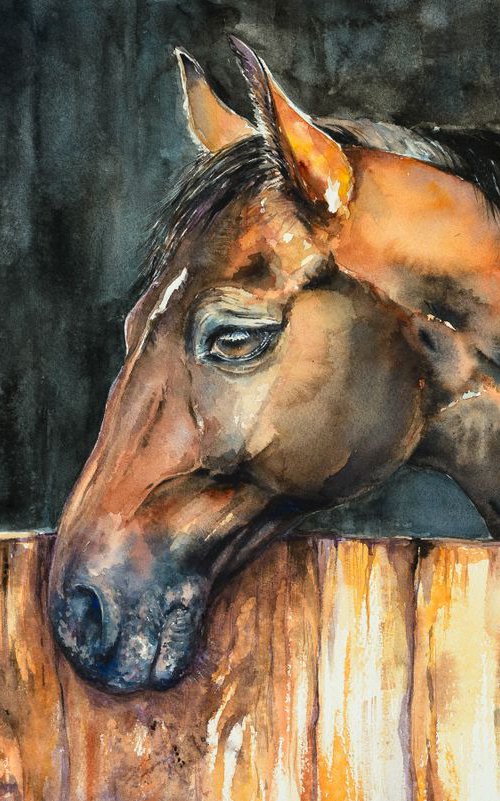 Horse portrait by Eve Mazur