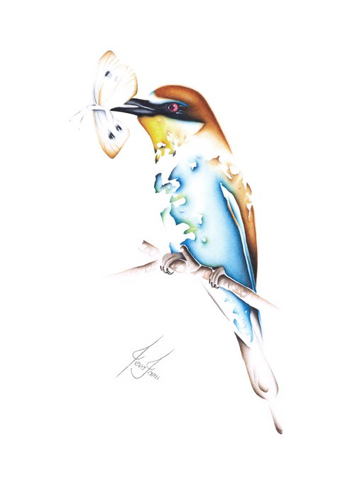 Bee-eater by ieva Janu
