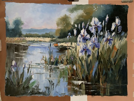 Lakeside Irises dream.