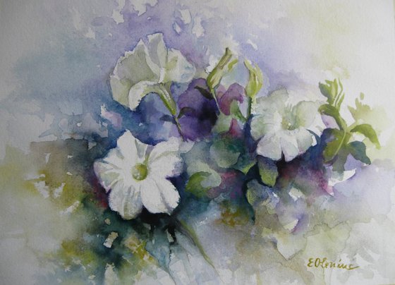 Petunias